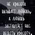 Не красота вызывает любовь а любовь заставляет нас видеть красоту цитаты Lovestory Tiktok сохры