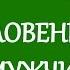 Медитация Благословение от всех мужчин Рода мужская и женская линия Рода