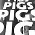 Pigs Pigs Pigs Pigs Pigs Pigs Pigs Rubbernecker Live At Blank Studios