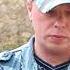Четыре лапы влажный нос и очень умный взгляд