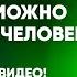 По каким критериям можно понять что человек врёт Смотрим в этом видео