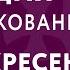 Евангелие дня с толкованием 12 декабря 2021 воскресенье Евангелие от Луки