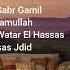 EL SABR GAMIL SALAMULLAH El Watar El Hassas Ehsas Jdid Speedupsongs Trendtiktok Viraltiktok