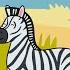 Zebra Song Fun Animals With Stripes Song For Kids Smiley Rhymes