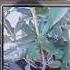 How To Enhance Img Quality On Sony Ericsson K800i Nostalgia Sonyericsson