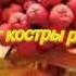 Осеннее настроение песня Горят костры рябин Муз А Заволокин сл П Панасюк