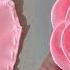 DIY How To Make An Adorable Fabric Rose Flower In Just Few Minutes DIY Ribbon Flowers