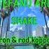 Shake Santibyron Rod Koppar Remix