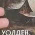 Худшая книга года Уолден или жизнь в лесу Генри Торо