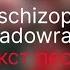 Shadowraze Mode Schizophrenia Текст песни