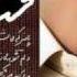 Mohsen Chavooshi Lolaye Shekaste