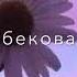 Асель Кадырбекова Жан кызым
