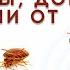 Ультразвуковой отпугиватель грызунов комаров и насекомых