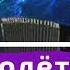 Полёт Шмеля Н А Римский Корсаков за 60 секунд на аккордеоне