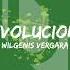 Wilgenis Vergara Evolucion Original Mix