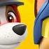 NEW PAW Patrol Season 10 Jungle Rescue Rescue Wheels Mighty Pups All Day Cartoon Live Stream