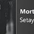 Morteza Pashaei Setayesh مرتضی پاشایی ستایش