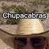 Chupacabras Are Everywhere Down Here Shorts