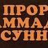 40 хадисов Имама Абу Дауда Нур Пророка Мухаммада ﷺ в Сунне Максатбек Каиргалиев