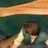 Tangled When Will My Life Begin Reprise French