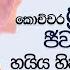 ම බණ ට ක ඇහ ව ත ක ච චර ප රශ න ත බ බත ජ වත ව නව Venerable Welimada Saddaseela Thero