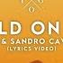 Kygo Sandro Cavazza Hold On Me Lyrics Video