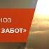 Запись вебинара Эриксоновский гипноз В Новый Год без груза забот