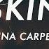 Sabrina Carpenter Skin Lyrics