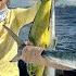 Rum New Lures Make For Fun Offshore Fishing Day Kings Mahi Tuna