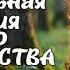 АУДИОКНИГА ЧАСТЬ 2 НЕБАНАЛЬНАЯ ИСТОРИЯ ОДНОГО ПОПАДАНСТВА ЛЮБОВНОЕ ФЭНТЕЗИ