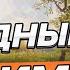 ВЗВОДНЫЕ ПОКАТУШКИ МИР ТАНКОВ