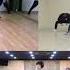 BTS ENHYPEN And TXT Boy In Luv Comparison Dance Practice Version