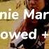 Melanie Martinez Maze Slowed Reverb