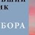 Давай поженимся участвует бывший священник Ошибка выбора и призвание