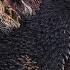 Godzilla In Hell Issue 1