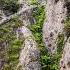 Solo Trek On China S Abandoned Cliff Walkway Finally Discovering The Mysterious Gate To Heaven