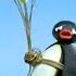 Taking Flight Pingu Official Channel Cartoons For Kids