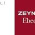 Zeynep Pelin Değmen Benim Gamlı Yaslı Gönlüme Official Audio
