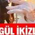 NESLİHAN ATAGÜL İKİZLERİN CİNSİYETİNİ AÇIKLADI 3 AYLIK HAMİLE KADİR DOĞULU BABA SİBELCAN SEDA SAYAN