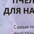 Базовый видеокурс пчеловодства Университета г Гвелф для начинающих пчеловодов Канада