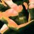 Klaus Schulze Follow Me Down Follow Me Down