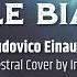 Nuvole Bianche Ludovico Einaudi Epic Orchestral Cover