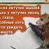 Знаете ли Вы Что Летучая мышь
