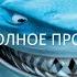 Полное Прохождение В Поисках Немо GBA Без комментариев