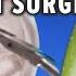 Emergency FruitSurgery Jalapeño Gets A New Heart DiscountDentist Ep 138 Shorts