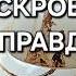 ВРЕМЯ ПРИШЛО КОФЕЙНАЯ ГУЩА РАСКРОЕТ ВСЮ ПРАВДУ Гадание на кофейной гуще онлайн
