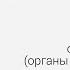 Анатомия и физиология человека Общий обзор организма человека Центр онлайн обучения Фоксфорд