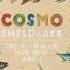 Cosmo Sheldrake Mind Of Rocks Instrumental