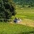 THRESHER SOUNDS THRESHING MACHINE Satisfying Shortfeeds Farming