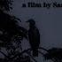 To Sit And See 2025 5 Minute Short Documentary